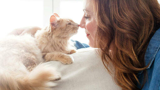 Things cats do to shop show affection